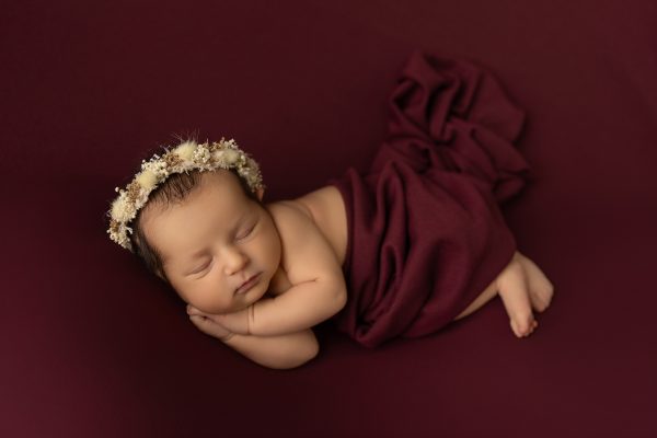 maroon newborn portrait in studio