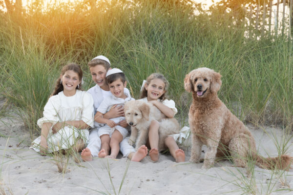 siblings enjoying time together during a beach photography session in Wilmette